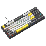 AJAZZ AK870 V2